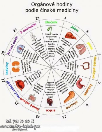 Orgánové hodiny, TČM, Jak funguje tělo z pohledu tradiční čínské medicíny, TianDe